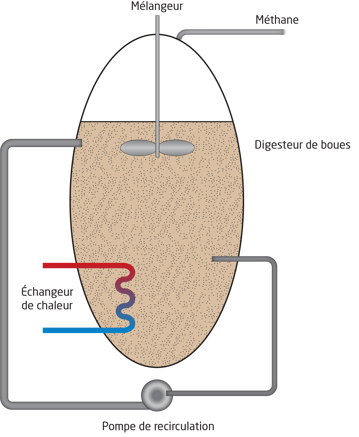 Digesteur de boues