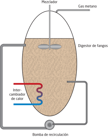 Digestor de fangos